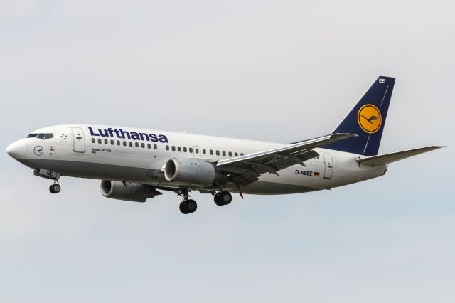 Boeing 737-700 (D-ABEE) - D-ABEE Lufthansa Boeing 737-330 coming in from Kopenhagen (EKCH) @ Frankfurt (EDDF) / 14.05.2015 