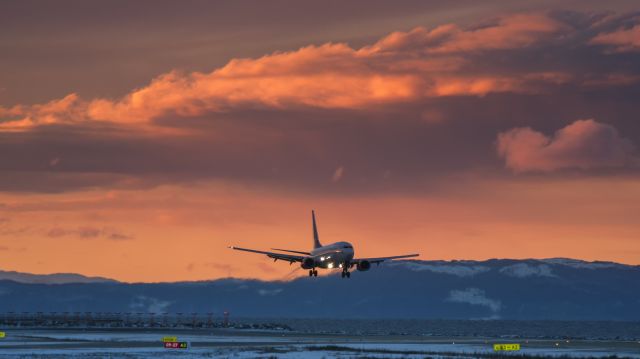 BOEING 737-600 (LN-RPZ)