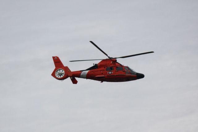 Cessna Skyhawk (N6055) - A USCG HH-65 Dolphin from Air Station Savannah flies over the Savannah River