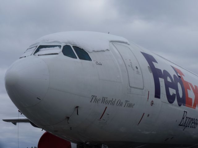 Airbus A310 — - COLE on nose