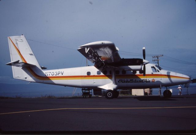 De Havilland Canada Twin Otter (N703PV) - I believe this is the airport at Hanalei on the island of Kauai.  Aloha Island Air was operated by Princeville Airways.