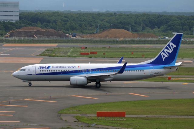 Boeing 737-800 (JA66AN)