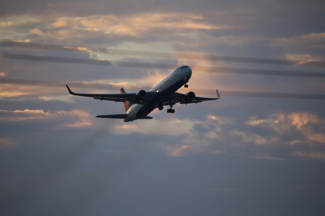 BOEING 767-300 (N172DN)