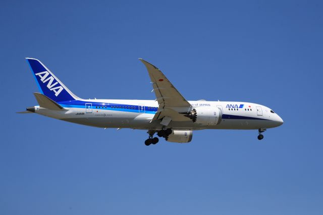 Boeing 787-8 (JA819A) - May 12th 2019:HND-HKD.