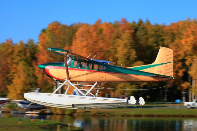 Cessna Skywagon (N93183)