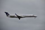 N13202 thumbnail