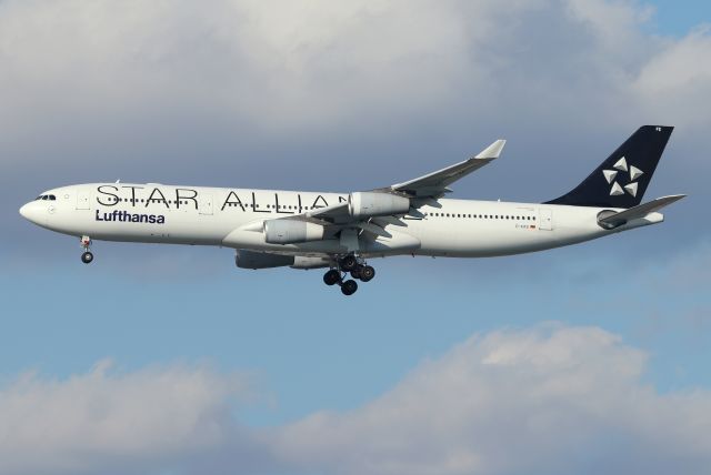 Airbus A340-300 (D-AIFE) - 'Lufthansa 7 Kilo' arriving from Frankfurt