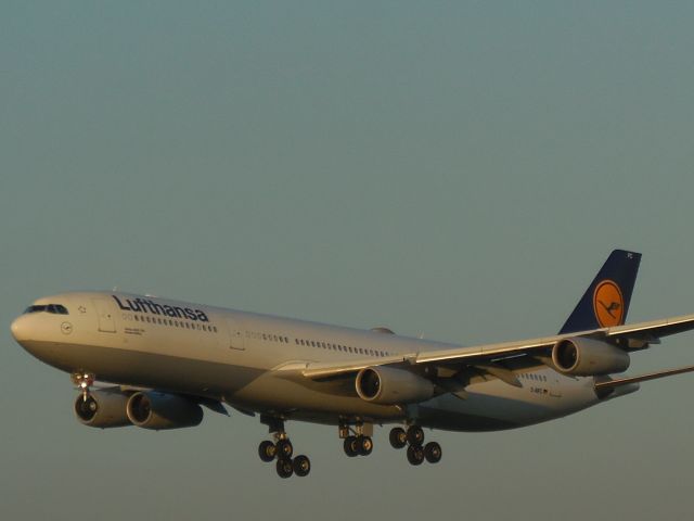 Airbus A340-300 (D-AIFC)