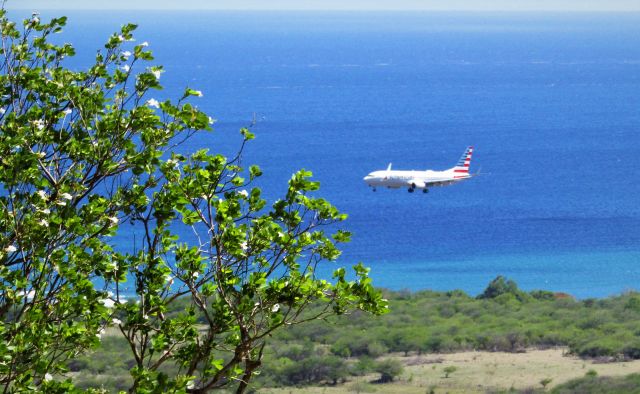 Boeing 737-800 (N991AN)