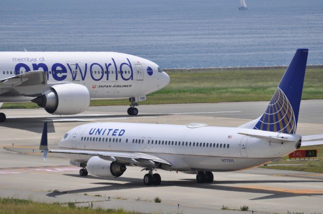 Boeing 737-800 (N77295)