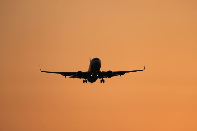 Boeing 737-800 (JA80AN) - June 6th 2018:HND-HKD.