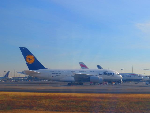 Airbus A380-800 (D-AIMI)