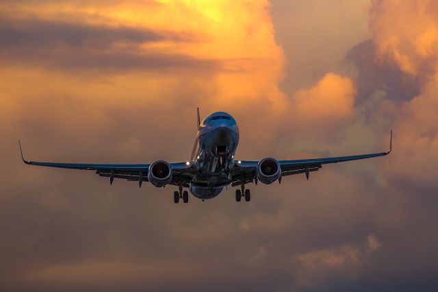 Boeing 737-800 (JA71AN)