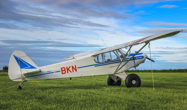 Piper L-21 Super Cub (ZK-BKN) - Darfield, Canterbury, NZ.