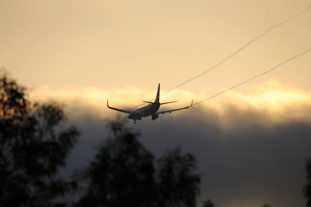 Boeing 737-800 (N8560Z)