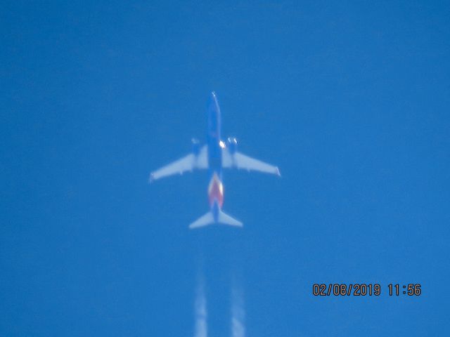 Boeing 737-800 (N8513F)