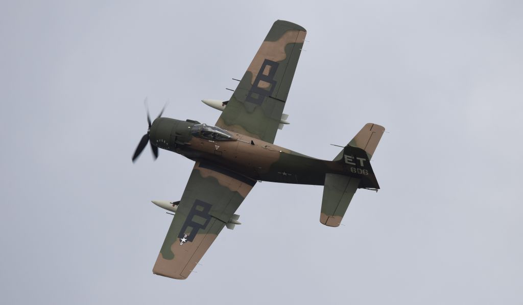 Douglas AD Skyraider (N39606) - Airventure 2018