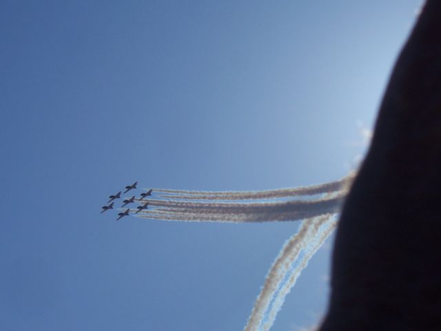 — — - What does  Star Trecks Next Generation have in common with the  Canadian Snowbirds ??    "Heavenly Bodies"  "Seven of Nine"    Canadian Snowbirds  do a 7 of 9 Double Diamond  formation off the back of my hand