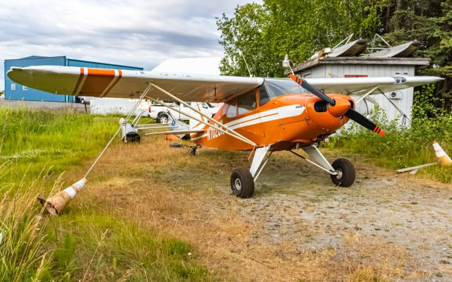 SPRING WS-202 Sprint (N702GK)