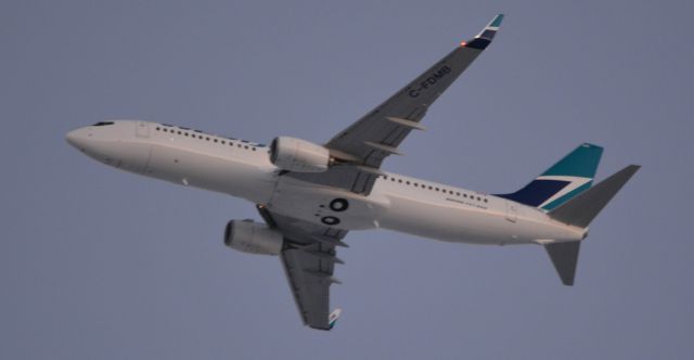 Boeing 737-800 (C-FDMB)