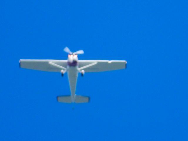 Cessna Skywagon 180 (N3100C)
