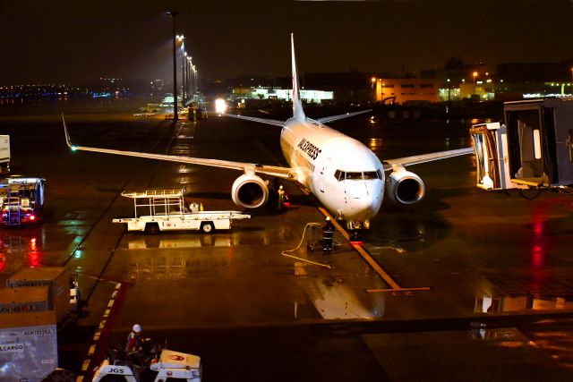 Boeing 737-800 (JA336J)