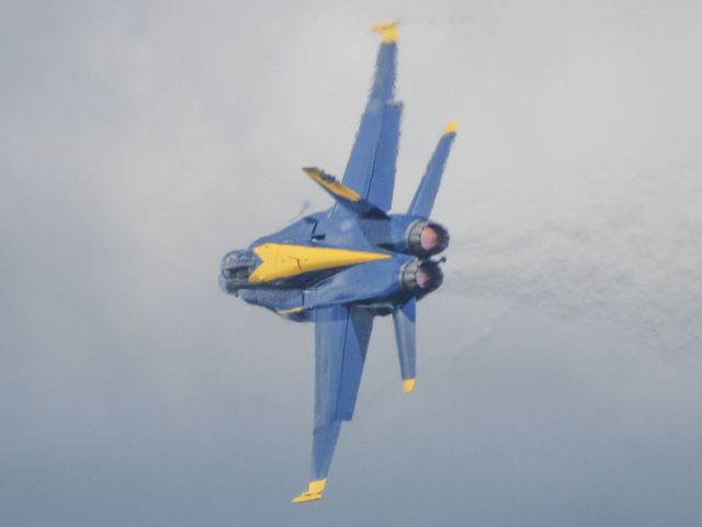 McDonnell Douglas FA-18 Hornet —