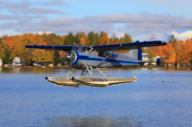 De Havilland Canada DHC-2 Mk1 Beaver (N6LU)