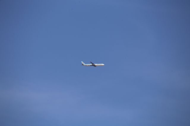 BOEING 777-300ER (HL8009)