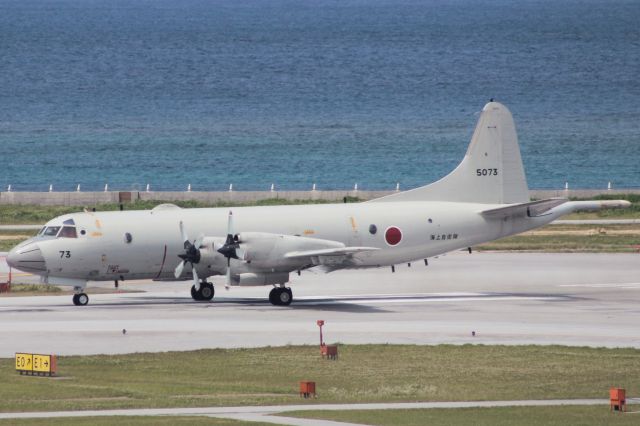 Lockheed P-3 Orion (N5073)