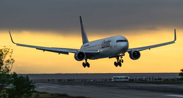 BOEING 767-300 (D-ABUI)