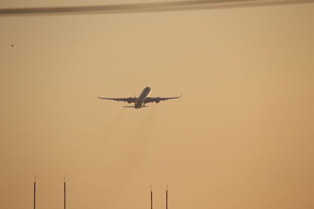Airbus A350-1000 (A7-ANQ)