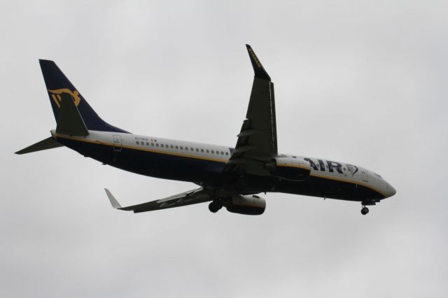 Boeing 737-800 (EI-DCK)