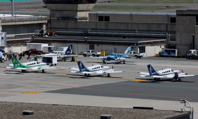 Cessna 402 (N69SC)