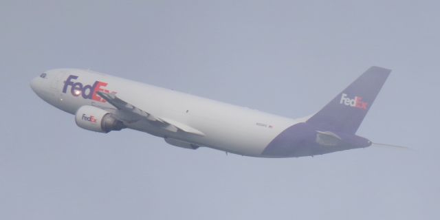 Airbus A300F4-600 (N559FE)