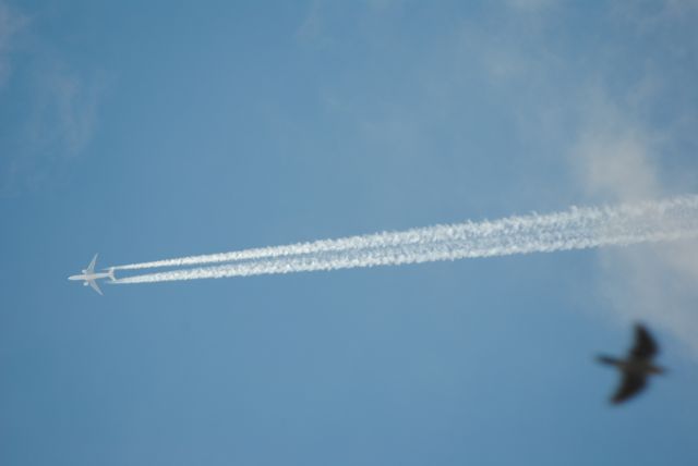 Boeing 777-200 (F-GUOC) - 1/24/2016: Air France 1994 Boeing 777-F28 (F-GUOC) enroute to Mexico City (MMMX). 