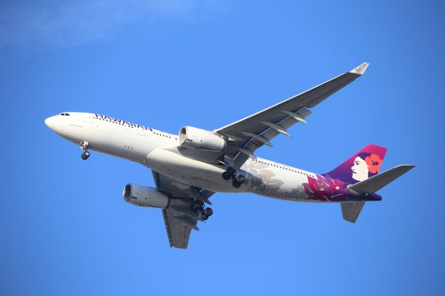 Airbus A330-200 (N393HA)