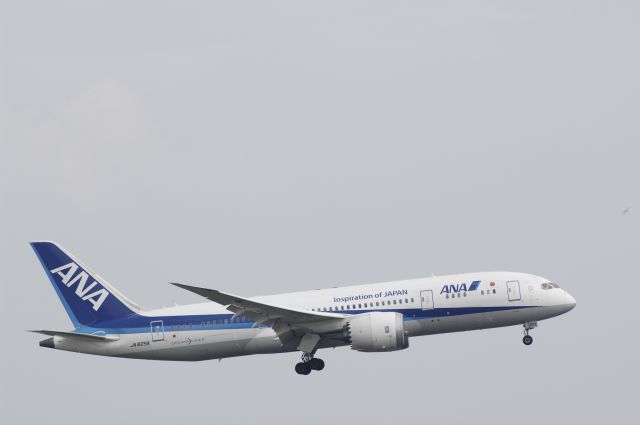 Boeing 787-8 (JA825A) - Final Approach to Tokyo-Haneda Intl Airport Rwy22 on 2016/05/29