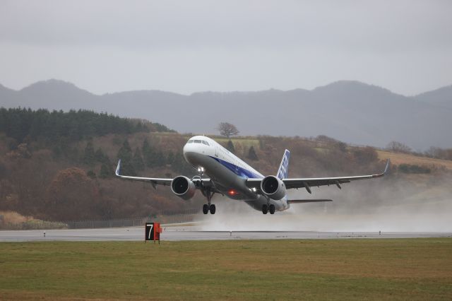 Airbus A321neo (JA139A) - November 22nd 2020:HKD-HND.