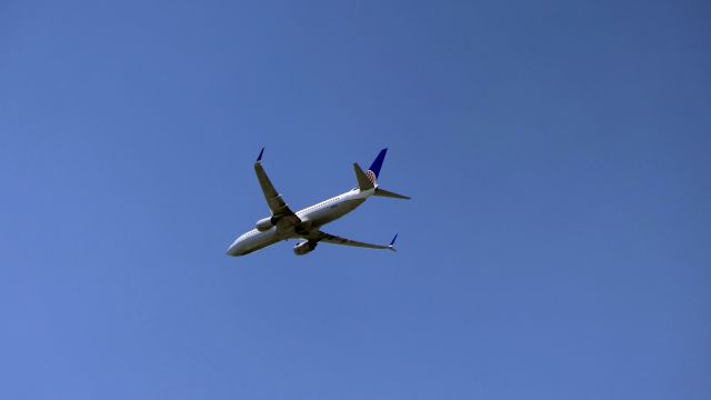 Boeing 737-800 (N37253)