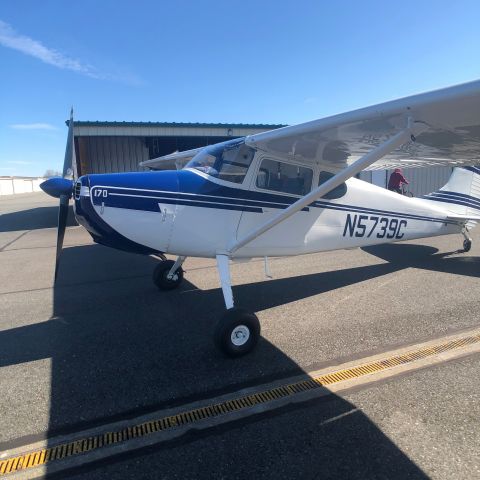 Cessna 170 (N5339C)