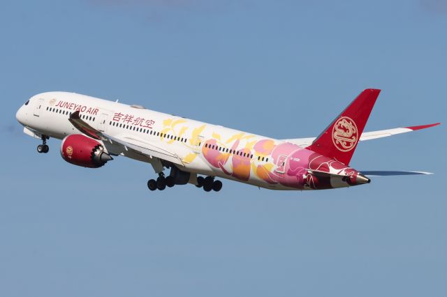 Boeing 787-9 Dreamliner (B-20D1) - HO1662 to Shanghai 