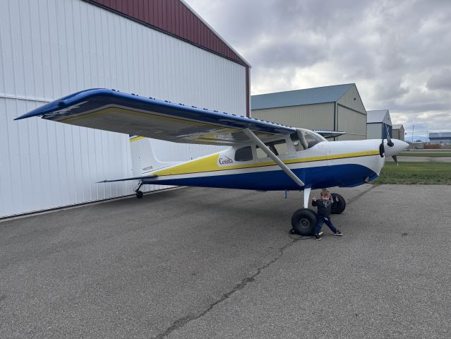 Cessna 175 Skylark (N9235B) - Fresh out of the paint booth