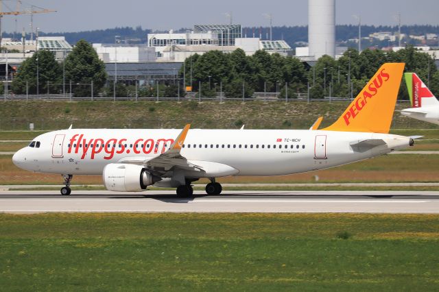 Airbus A320neo (TC-NCH)