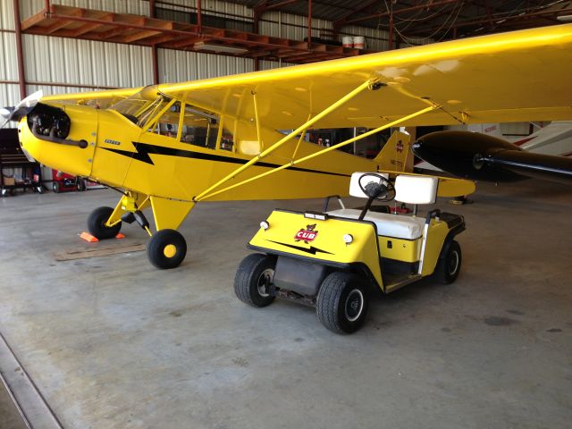 Piper NE Cub (N87773) - Admiring a piece of history.