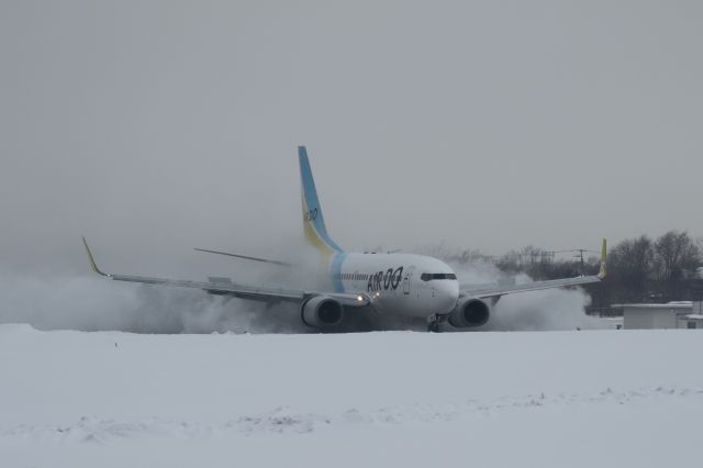 Boeing 737-700 (JA08AN) - 01 February 2016:HND-HKD.