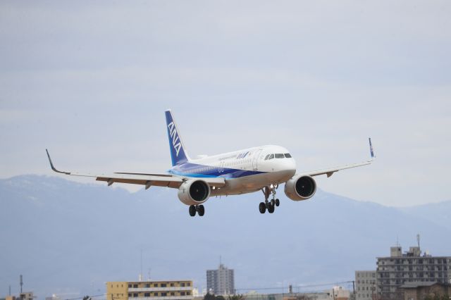 Airbus A320 (JA218A) - April 19th 2020:HNDーHKD.