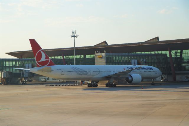 BOEING 777-300ER (TC-JJM) - 6/20/18 at the gate, T3