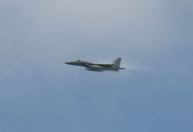 McDonnell Douglas F-15 Eagle — - F-15 Eagle cutting through the heavy humid Florida air. I was driving north out of Destin passing Eglin AFB where they had numerous jets performing touch & gos. I pulled over and took photos of this impromptu airshow.