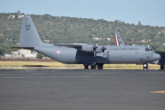 Lockheed C-130 Hercules (FAM3611) - C-130 FAM 3611 (L100-30) was photographed in Santa Lucia AB after this aircraft was upgrated in the USA. 